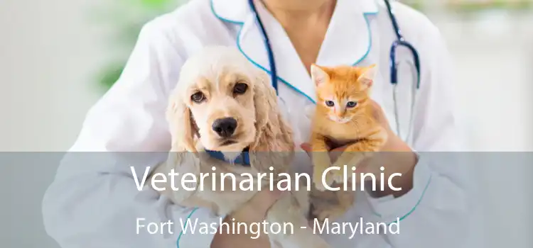 Veterinarian Clinic Fort Washington - Maryland