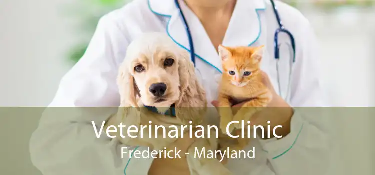 Veterinarian Clinic Frederick - Maryland