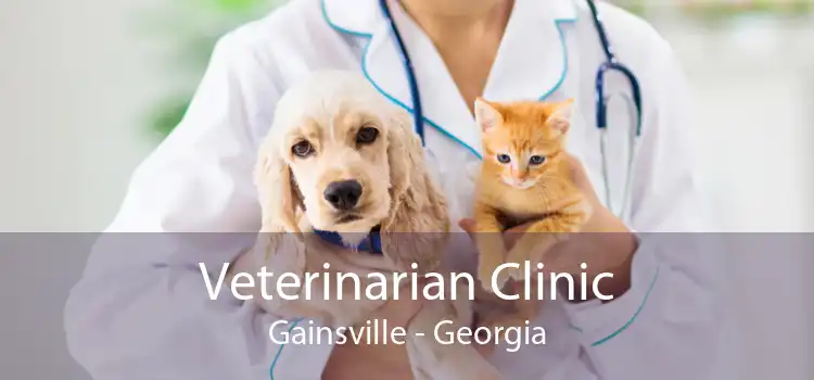 Veterinarian Clinic Gainsville - Georgia