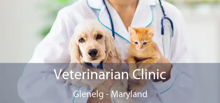 Veterinarian Clinic Glenelg - Maryland