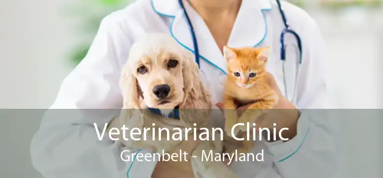 Veterinarian Clinic Greenbelt - Maryland