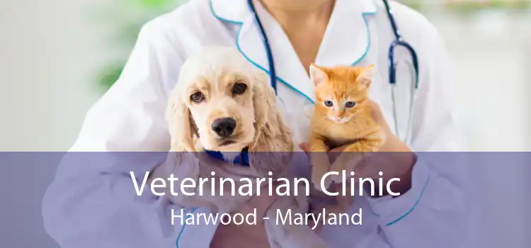 Veterinarian Clinic Harwood - Maryland