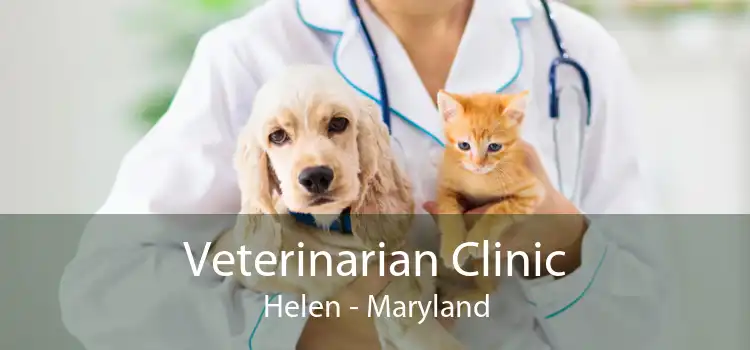 Veterinarian Clinic Helen - Maryland