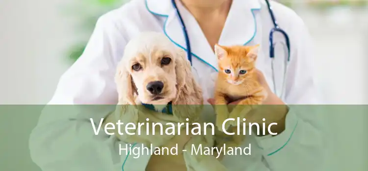 Veterinarian Clinic Highland - Maryland