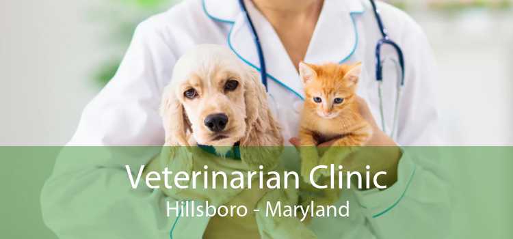 Veterinarian Clinic Hillsboro - Maryland