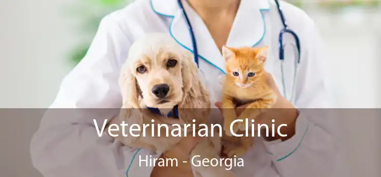 Veterinarian Clinic Hiram - Georgia