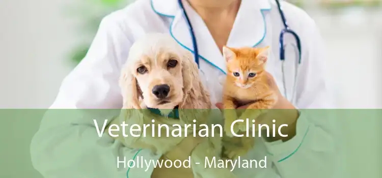 Veterinarian Clinic Hollywood - Maryland