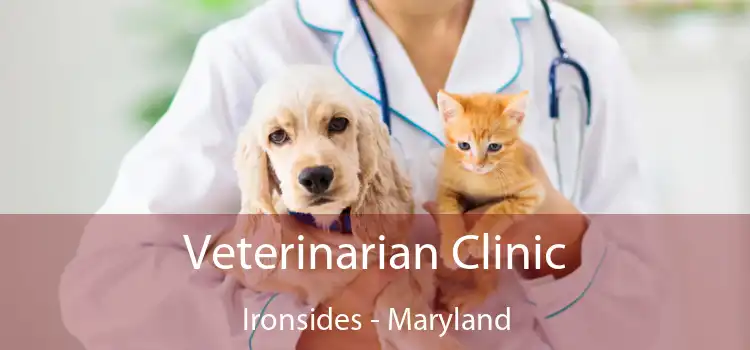 Veterinarian Clinic Ironsides - Maryland