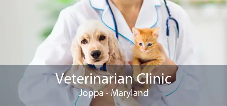 Veterinarian Clinic Joppa - Maryland