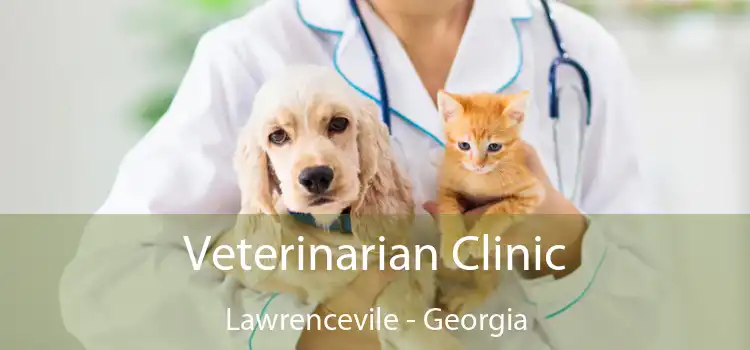 Veterinarian Clinic Lawrencevile - Georgia