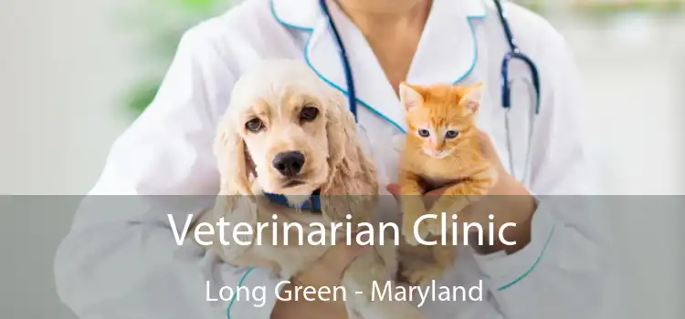 Veterinarian Clinic Long Green - Maryland