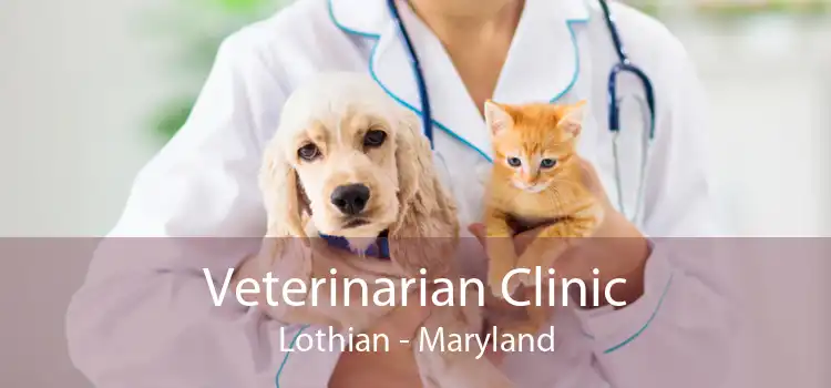 Veterinarian Clinic Lothian - Maryland