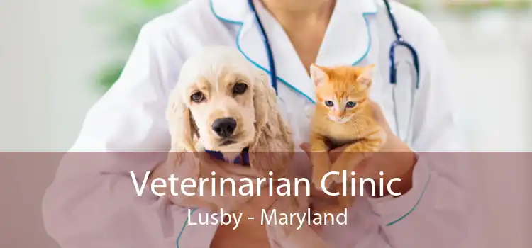 Veterinarian Clinic Lusby - Maryland