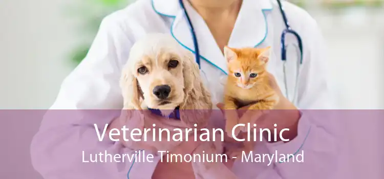 Veterinarian Clinic Lutherville Timonium - Maryland