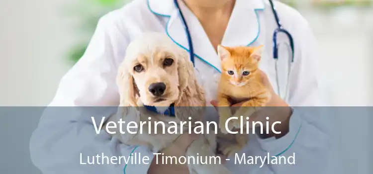 Veterinarian Clinic Lutherville Timonium - Maryland