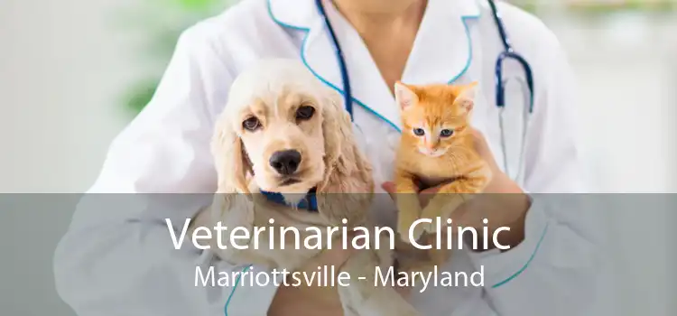 Veterinarian Clinic Marriottsville - Maryland
