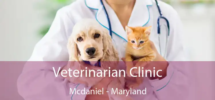 Veterinarian Clinic Mcdaniel - Maryland