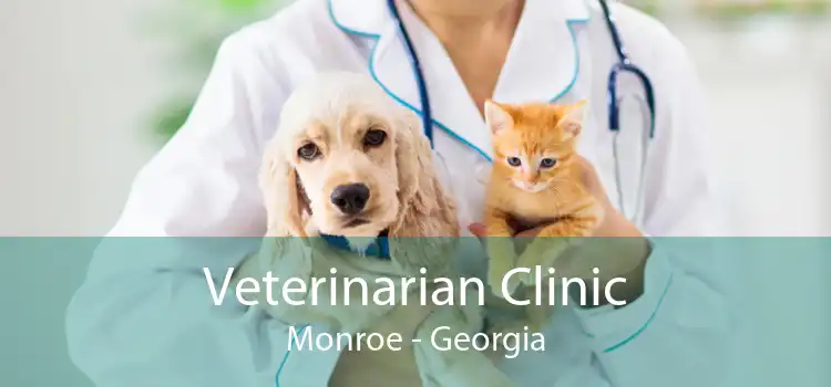 Veterinarian Clinic Monroe - Georgia