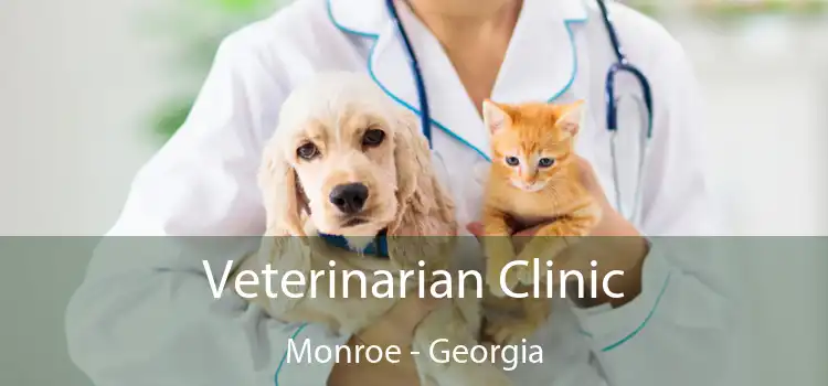 Veterinarian Clinic Monroe - Georgia