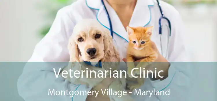 Veterinarian Clinic Montgomery Village - Maryland