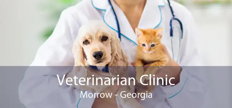 Veterinarian Clinic Morrow - Georgia