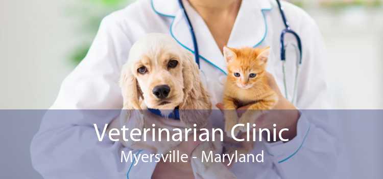 Veterinarian Clinic Myersville - Maryland