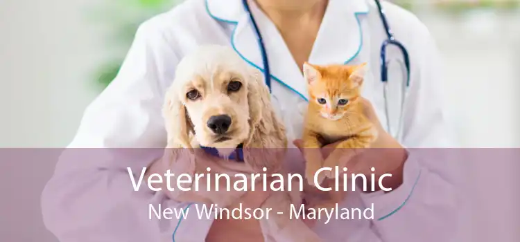 Veterinarian Clinic New Windsor - Maryland