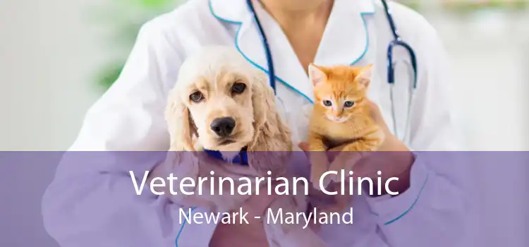 Veterinarian Clinic Newark - Maryland