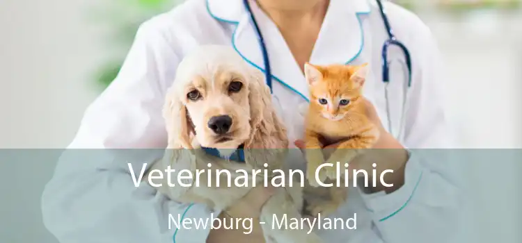 Veterinarian Clinic Newburg - Maryland