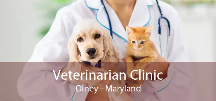 Veterinarian Clinic Olney - Maryland