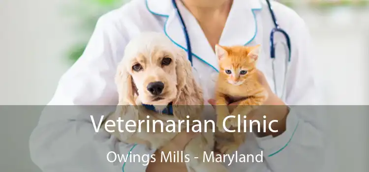 Veterinarian Clinic Owings Mills - Maryland