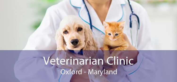 Veterinarian Clinic Oxford - Maryland