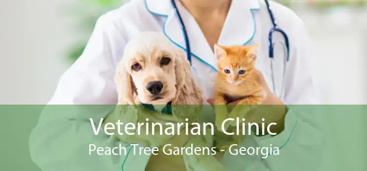 Veterinarian Clinic Peach Tree Gardens - Georgia