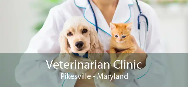 Veterinarian Clinic Pikesville - Maryland