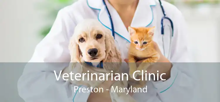Veterinarian Clinic Preston - Maryland