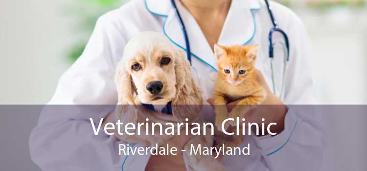 Veterinarian Clinic Riverdale - Maryland