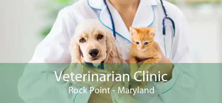Veterinarian Clinic Rock Point - Maryland