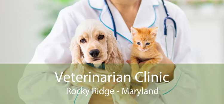 Veterinarian Clinic Rocky Ridge - Maryland