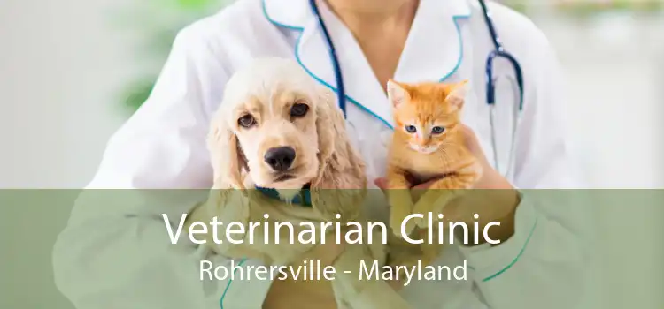 Veterinarian Clinic Rohrersville - Maryland