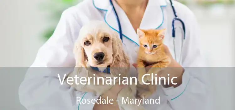 Veterinarian Clinic Rosedale - Maryland