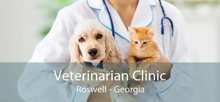 Veterinarian Clinic Roswell - Georgia