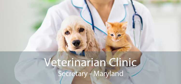 Veterinarian Clinic Secretary - Maryland