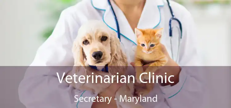 Veterinarian Clinic Secretary - Maryland