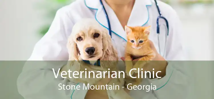 Veterinarian Clinic Stone Mountain - Georgia