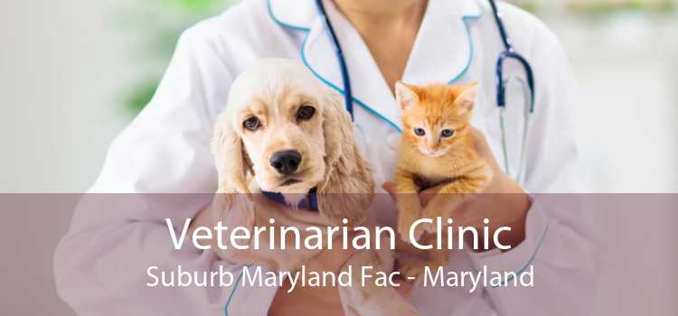 Veterinarian Clinic Suburb Maryland Fac - Maryland