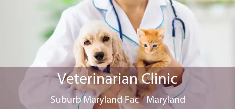 Veterinarian Clinic Suburb Maryland Fac - Maryland