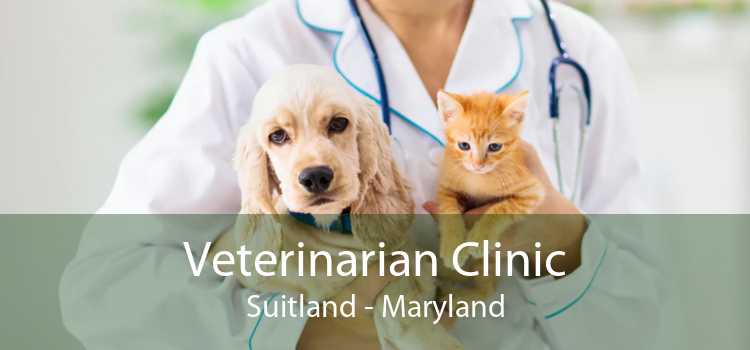 Veterinarian Clinic Suitland - Maryland
