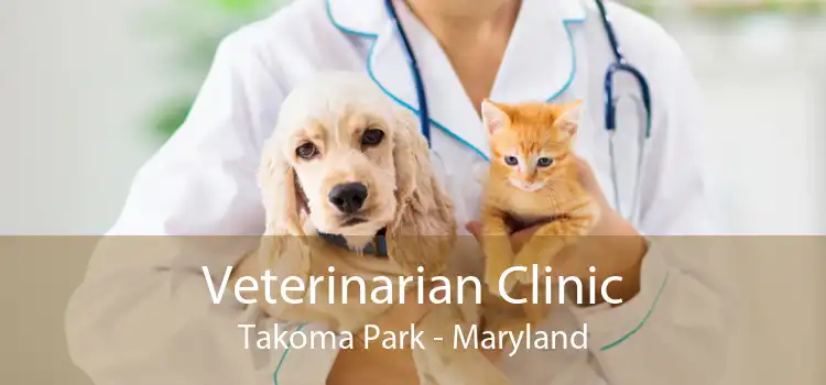 Veterinarian Clinic Takoma Park - Maryland