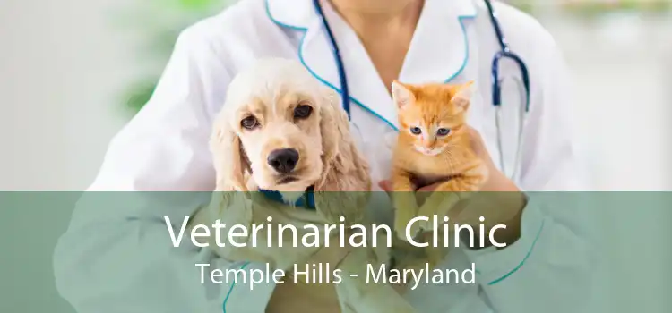 Veterinarian Clinic Temple Hills - Maryland
