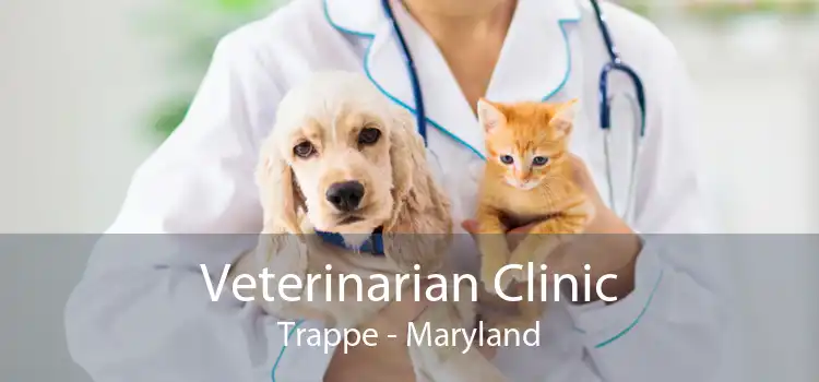 Veterinarian Clinic Trappe - Maryland